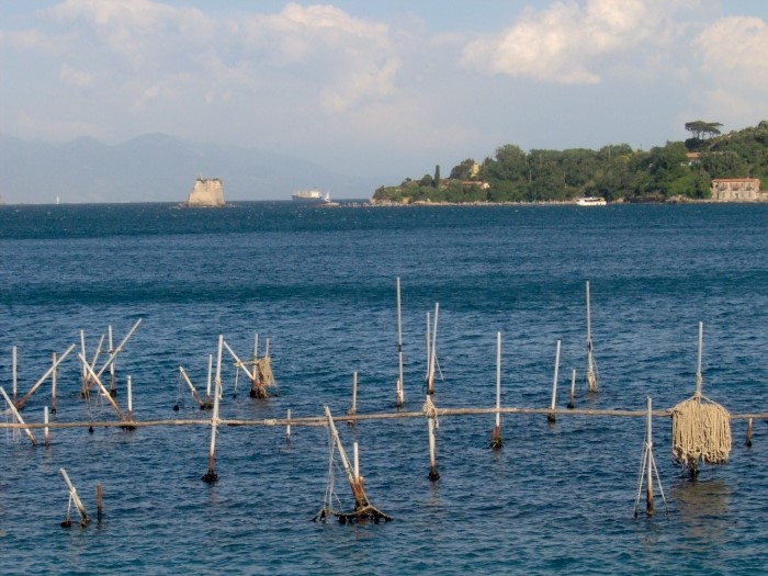 ISOLA PALMARIA